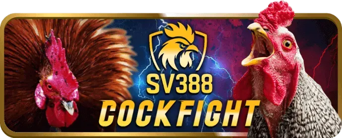 Ưu đãi và khuyến mãi bet 69 vn 2026